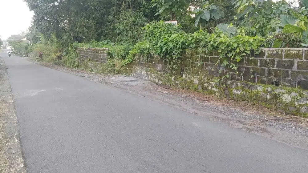 DIJUAL TANAH DEKAT PASAR PAKEM SLEMAN LUAS 737M2 TAPI JALAN BESAR