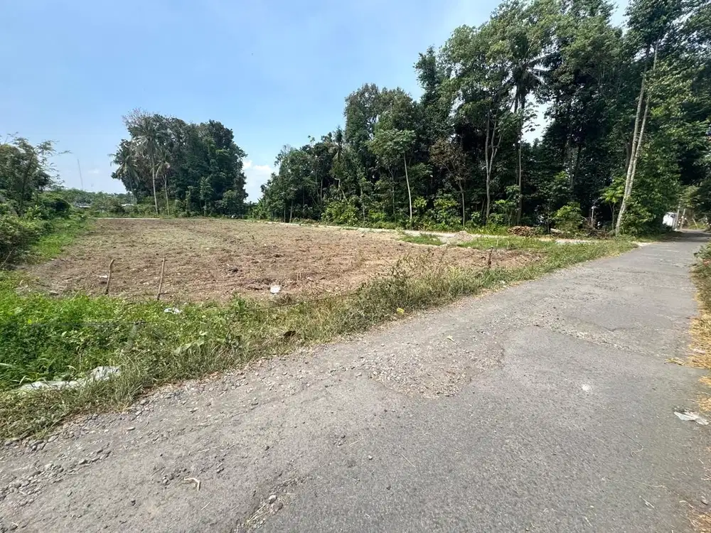 Area Kos Kampus, Tanah Pekarangan Murah Jogja