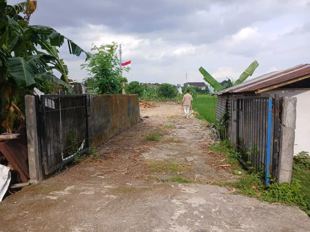 Dekat Kalurahan Trihanggo, View Sawah