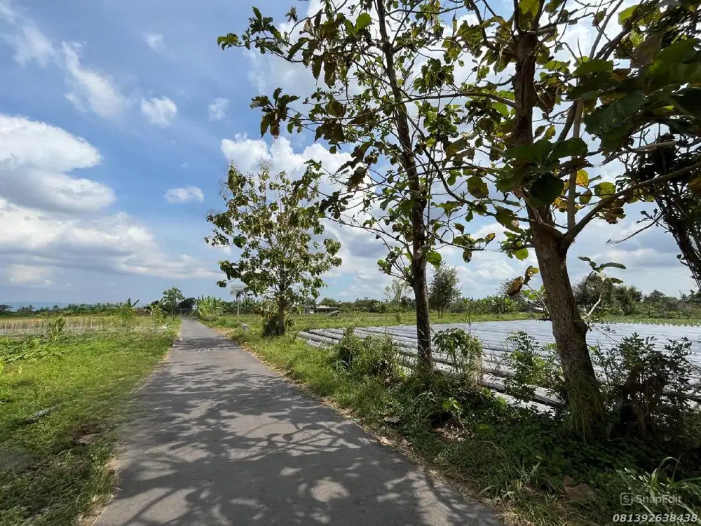 Tanah Cocok Villa 500 meter Jl Kaliurang Km 12 View  Sawah Dekat UII