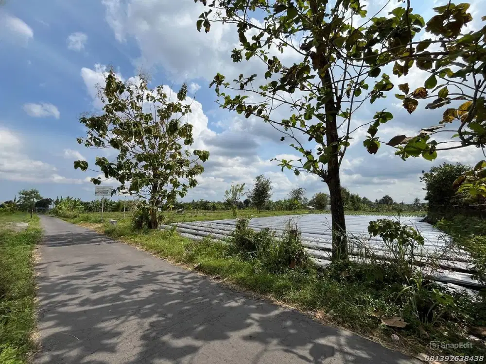 Dijual Tanah Asri Dekat Klidon Timur Jl. Kaliurang Km 12 Aspal Lebar