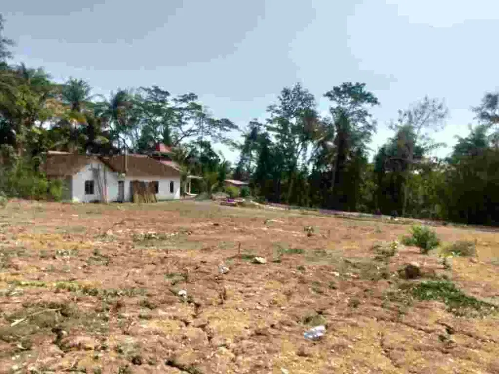 Dekat SMPN 2 Moyudan, Tanah Jogja, Peruntukan Hunian Asri