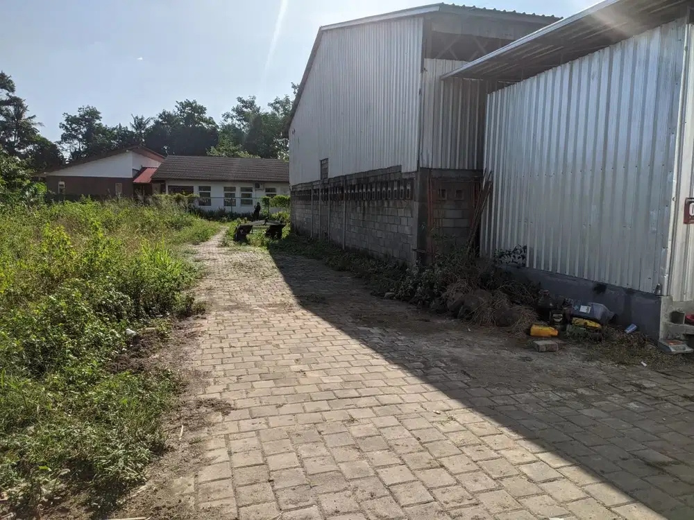 Jogja, dekat ringroad utara cocok untuk hunian