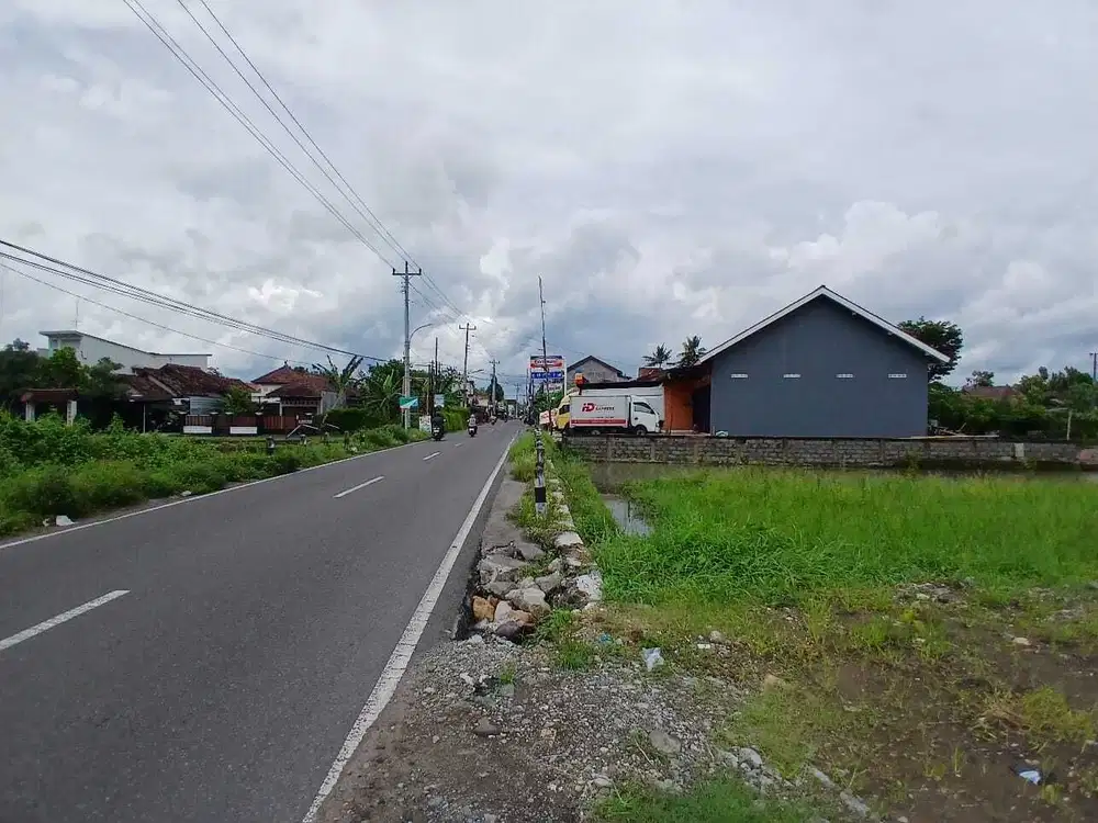 Dekat Kalurahan Sidokarto, View Sawah