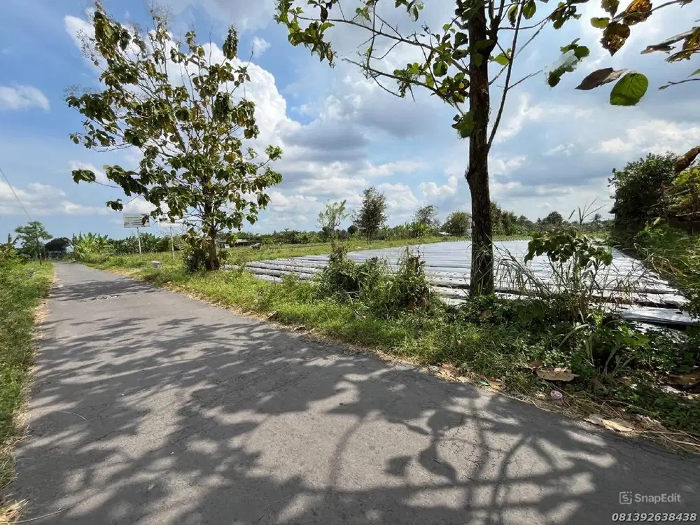 Hunian Asri Tanah Jogja Ngaglik View Sawah Jalan Utama Aspal