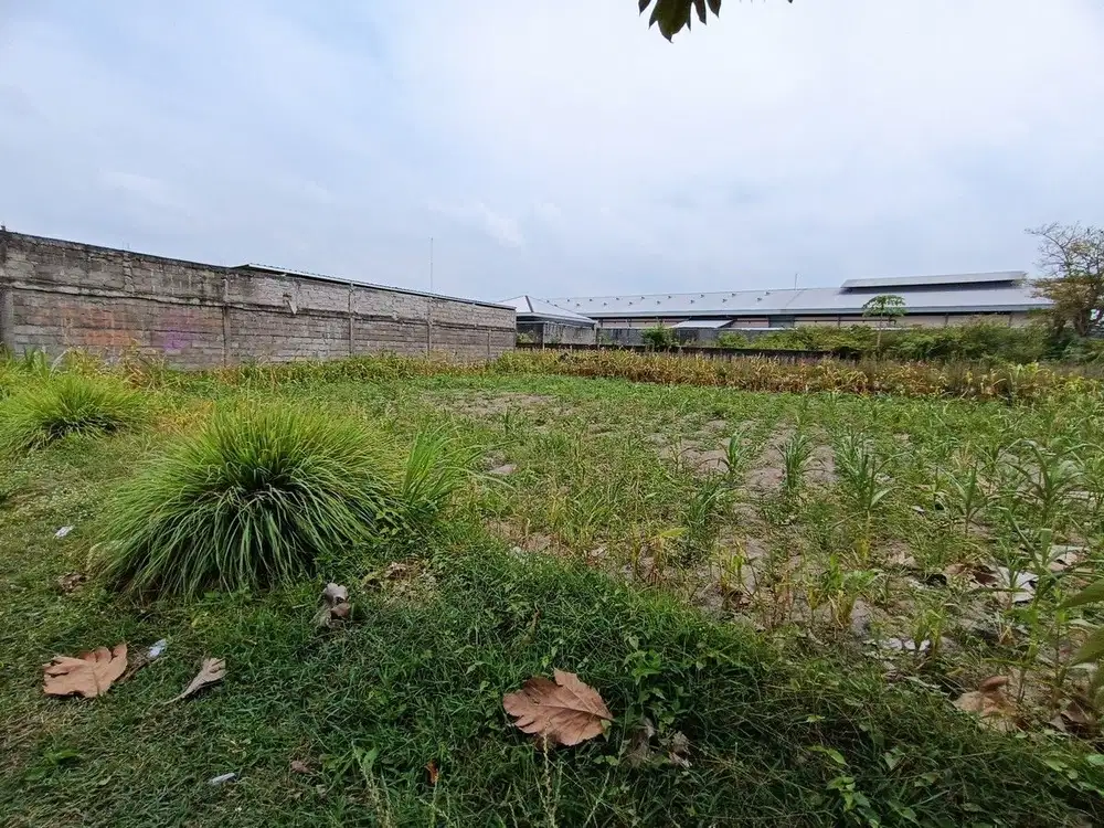 Kavling 3jutaan area Palagan,Siap Akad Notaris