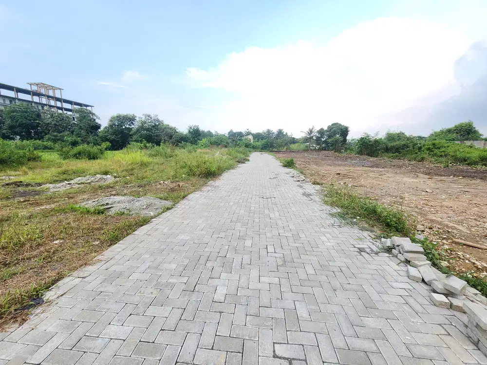 Selangkah Kampus UTY, View Merapi dan Sawah