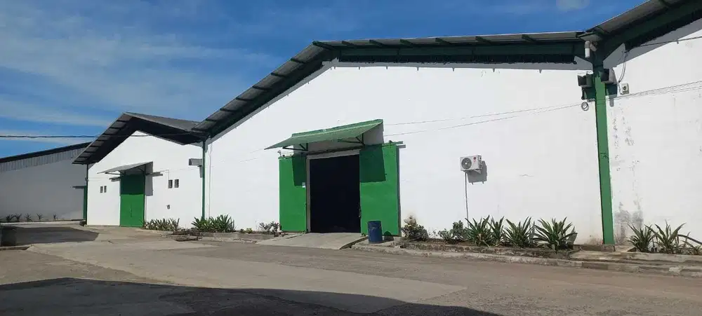 Gudang Strategis & Multifungsi di Bitung Jaya
