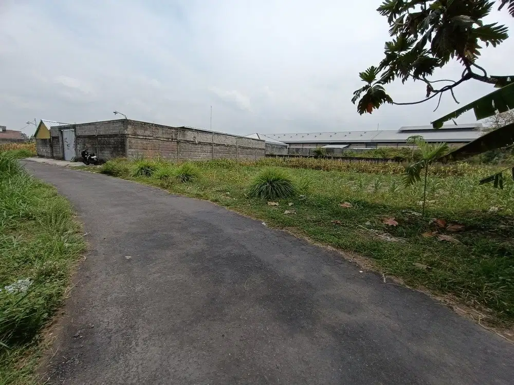 Dekat Pasar Rejodani Jl. Palagan, Lingkungan Asri