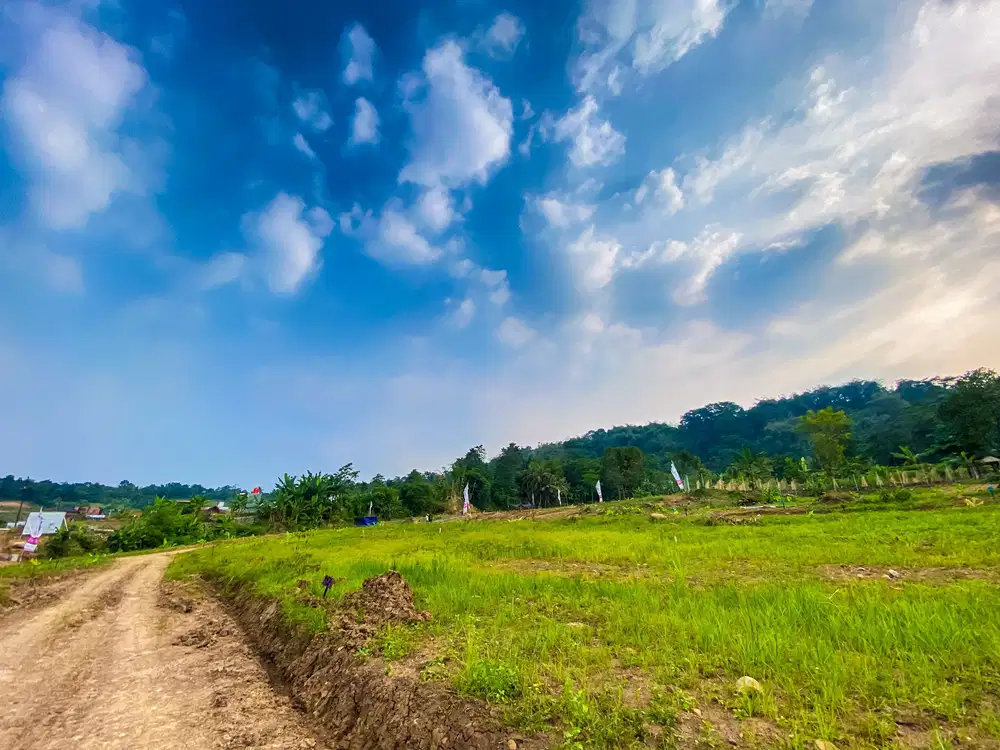 Jual Cepat TANAH MURAH 300 Ribu Permeter di Lokasi Wisata