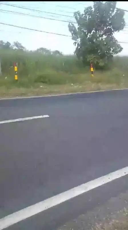 Tanah Nol Jalan Propinsi Lamongaj Mojokerto