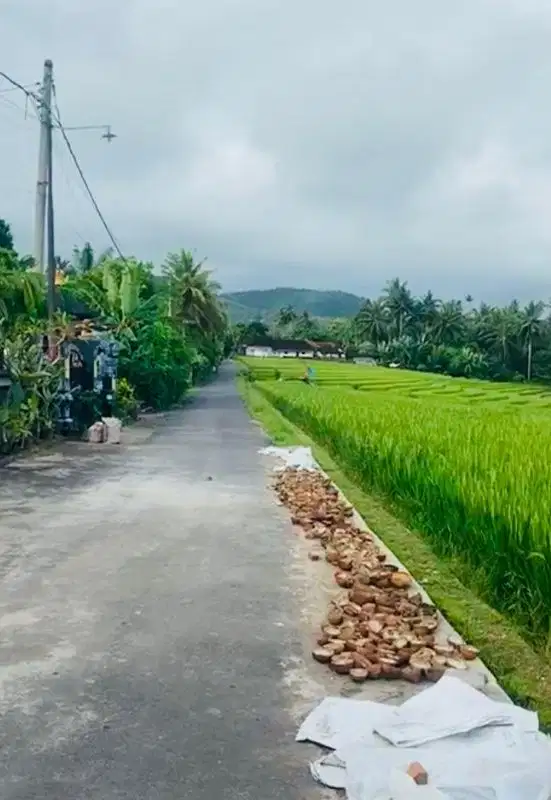 Tanah Murah View Gunung Lalang Linggah Tabanan