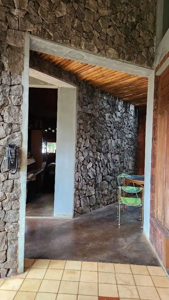 Rumah luas yang adem banyak pohon/oxygen dihitung harga kavling di BSD