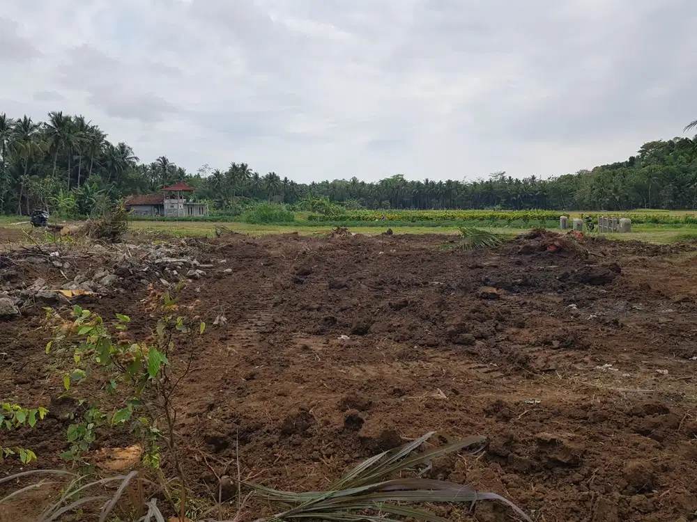 dekat Bandara NYIA; Tanah Murah; Siap AJB