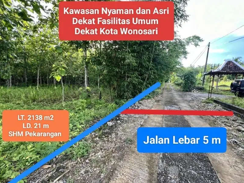 Jual tanah murah di wisata goa pindul bejiharjo Gunung Kidul