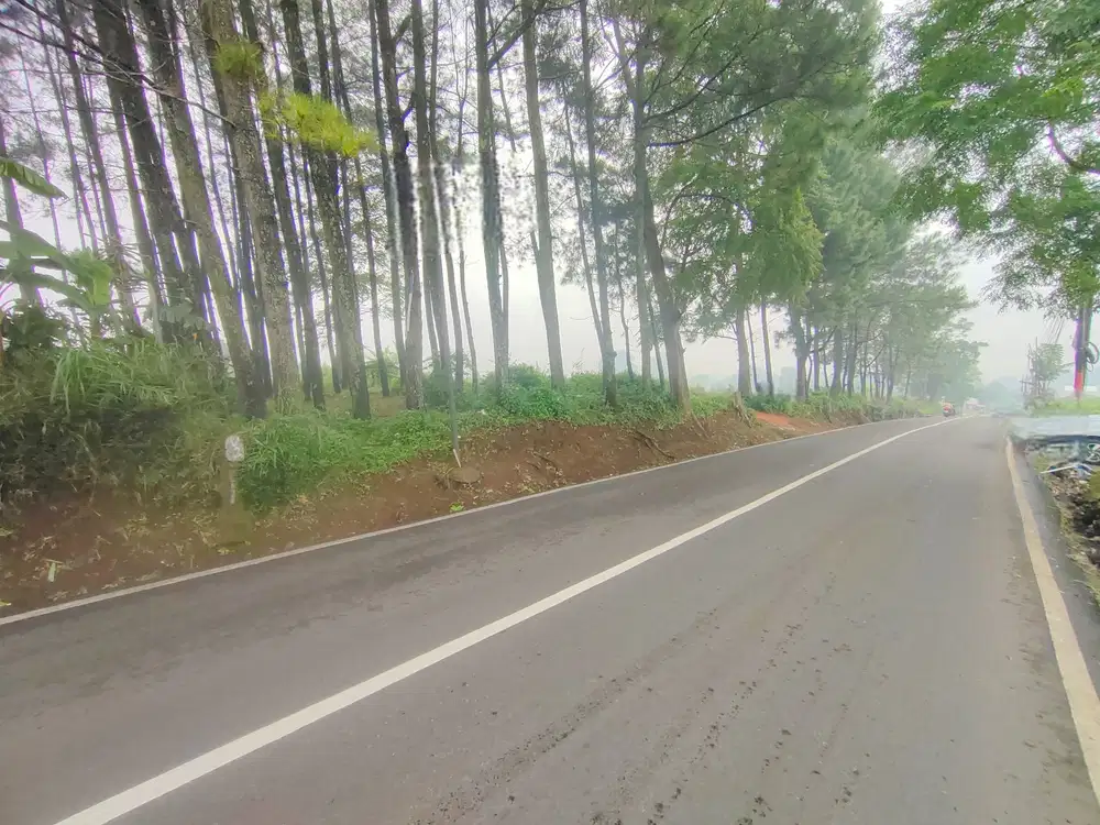 JUAL Tanah Luas di Jalan Raya Padalarang - Lembang