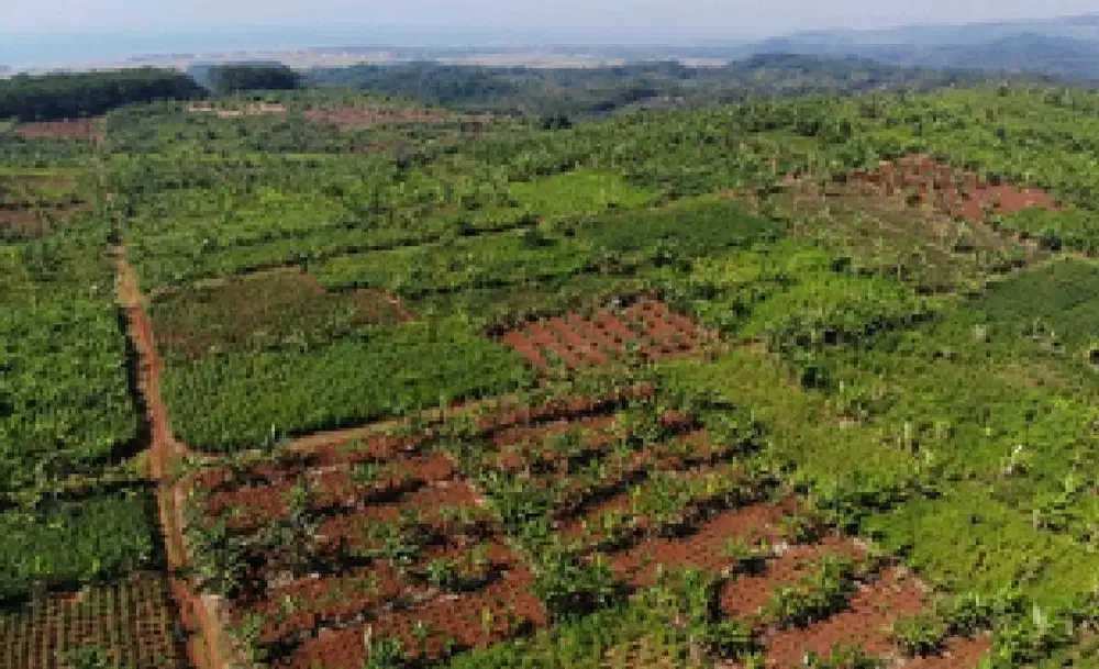 Dijual Tanah Industri Akses Kontainer dan SHGB Di Batang Jawa Tengah
