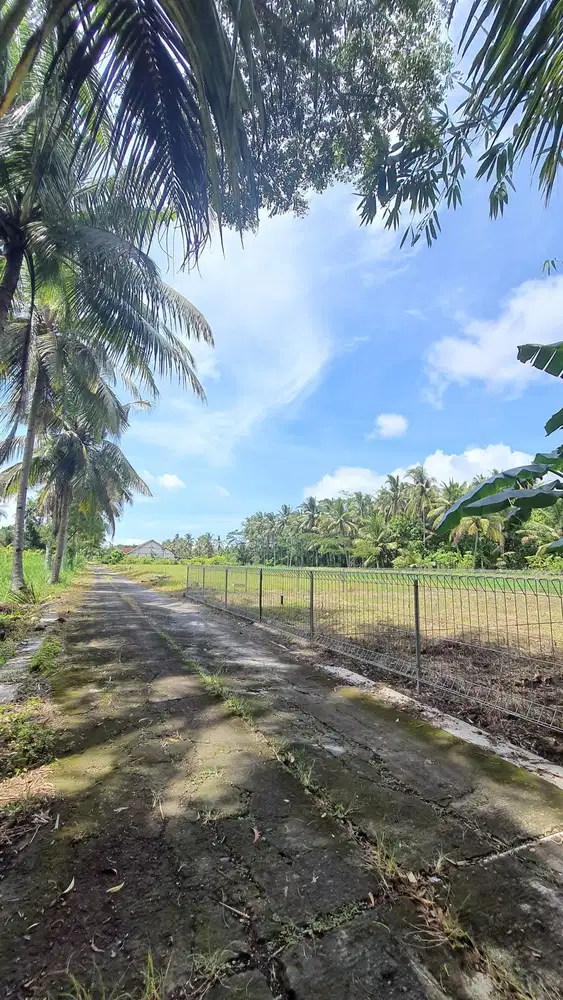 DIJUAL TANAH JL KH AHMAD DAHLAN DEKATNYA KAMPUS UAD 6 YOGYAKARTA