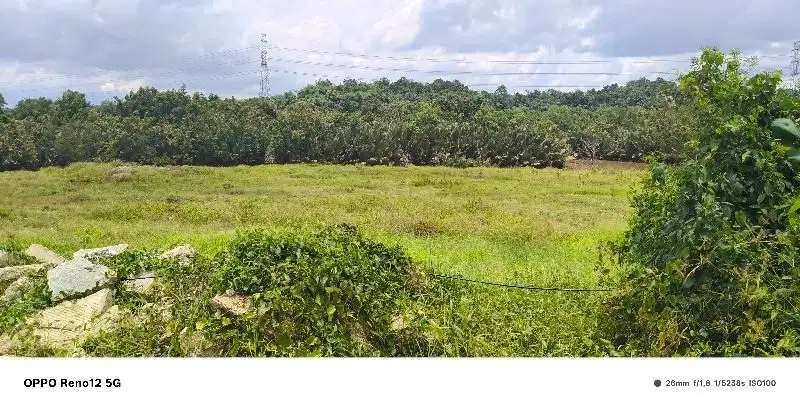 DISEWAKAN LAHAN 1 HEKTAR KAWASAN INDUSTRI KM 13 KARIANGAU BALIKPAPAN