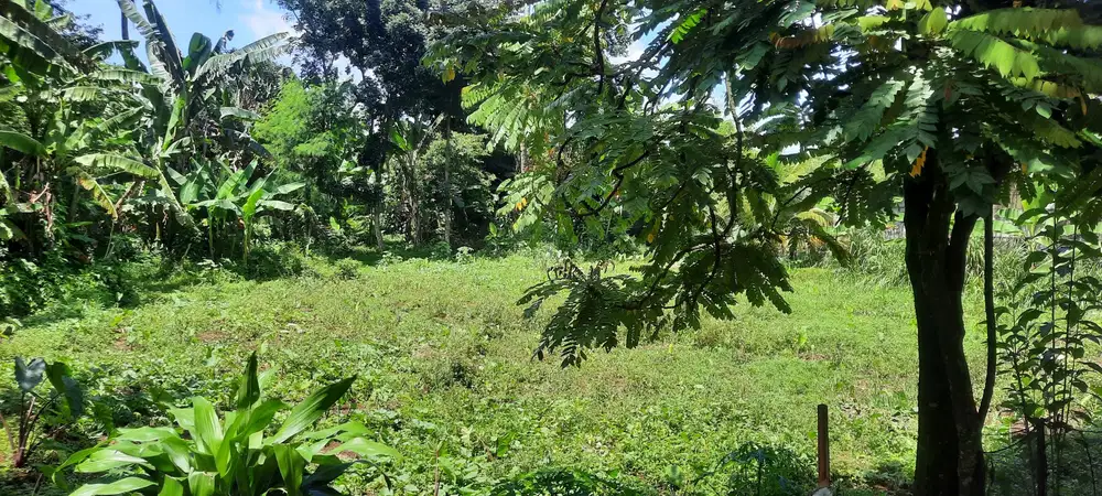 Jual Tanah Luas 2.800 meter Pondok Undik, Jl Kampung Hambulu, Bogor