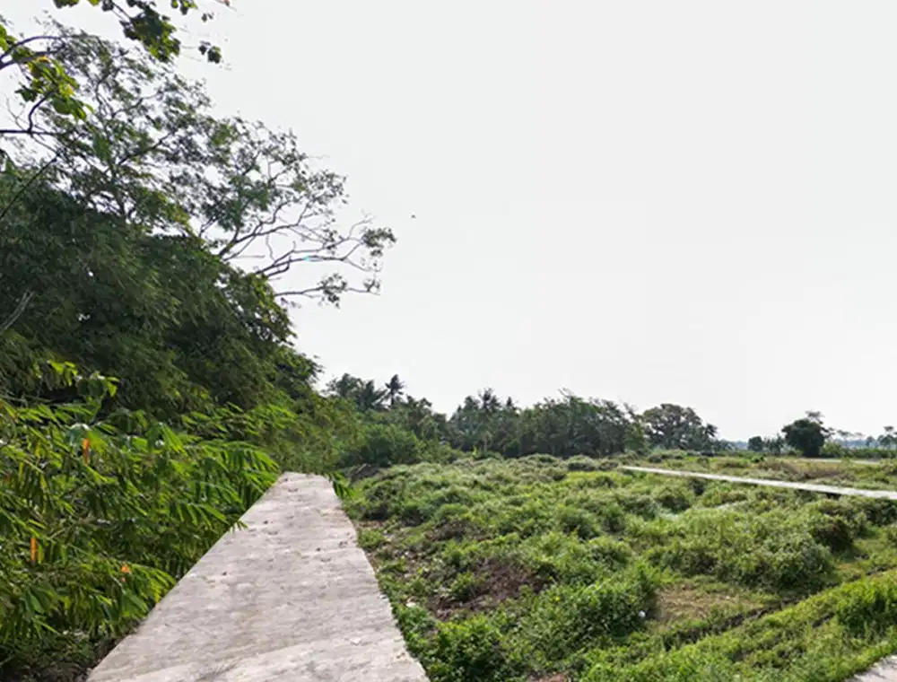 Wates; Tanah Murah Siap AJB