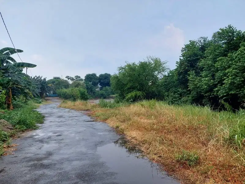 Dijual kavling harga banting dibawah NJOP at Pancoran Jaksel