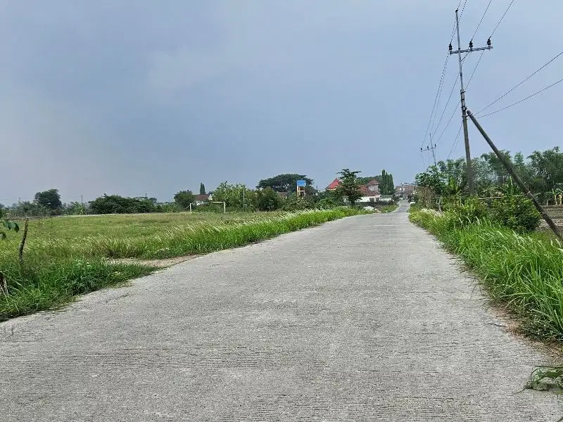 Tanah pinggir jalan desa row 10 m cocok buat kandang ayam