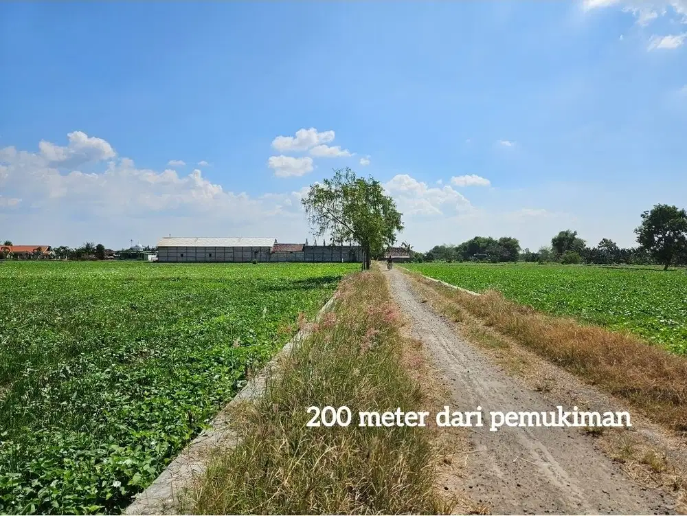 Termurah tanah pinggir jalan desa lokasi balongpanggang gresik