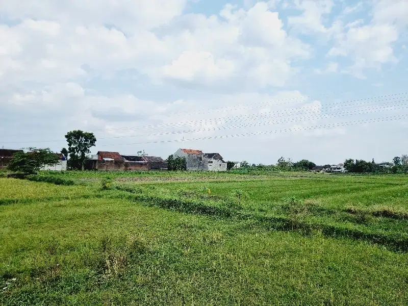 Tanah Sawah 1.805m² Dekat Exit Tol Ngasem Colomadu KRA