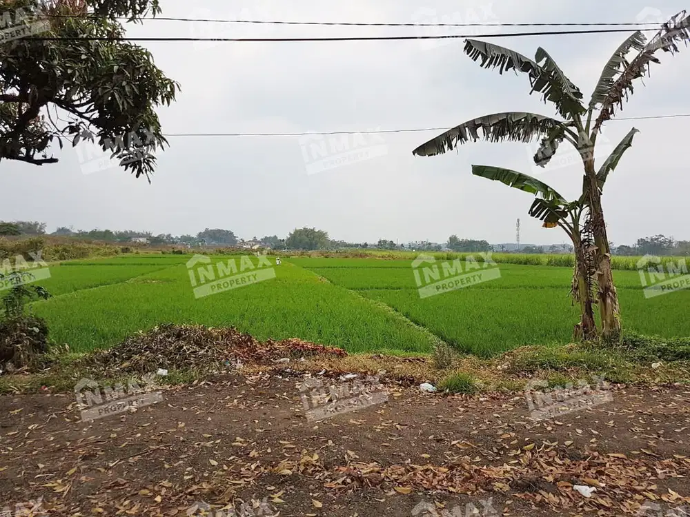 TANAH RAYA MONDOROKO SINGOSARI, LUAS 5.115 m2, ROW JALAN LEBAR