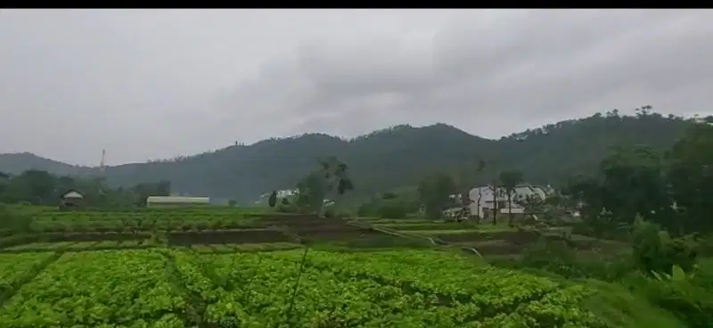 Batu Malang. Indragiri sumberejo. komersial area