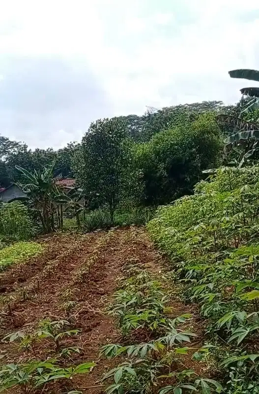 DI JUAL LAHAN TANAH 4565 mtr