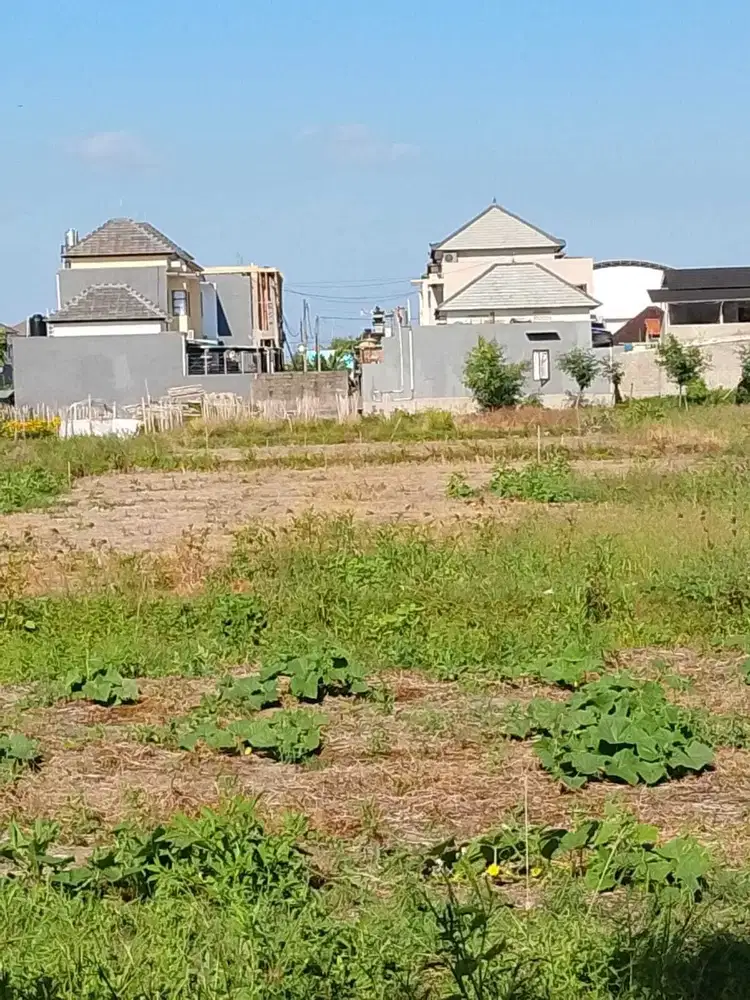 Dijual tanah  kapling  Lokasi Jalan Tukad Balian gang Bule Renon Bali