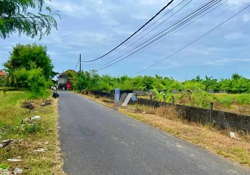 Tanah View Sawah Raya Pantai Kelating Tabanab