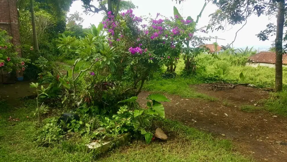 Tanah Lokasi Strategis dekat Kantor Bupati Bandung Barat di Padalarang