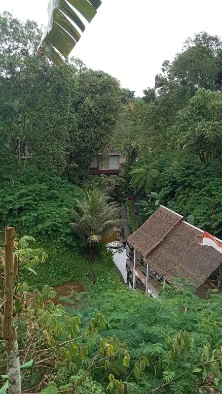 tanah murah   view sawah di tegalalang ubud