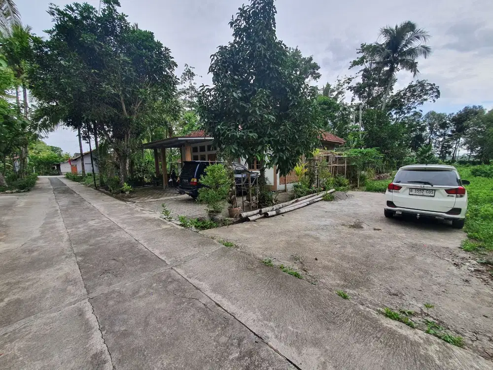 Kulonprogo; Tanah Murah; Siap AJB