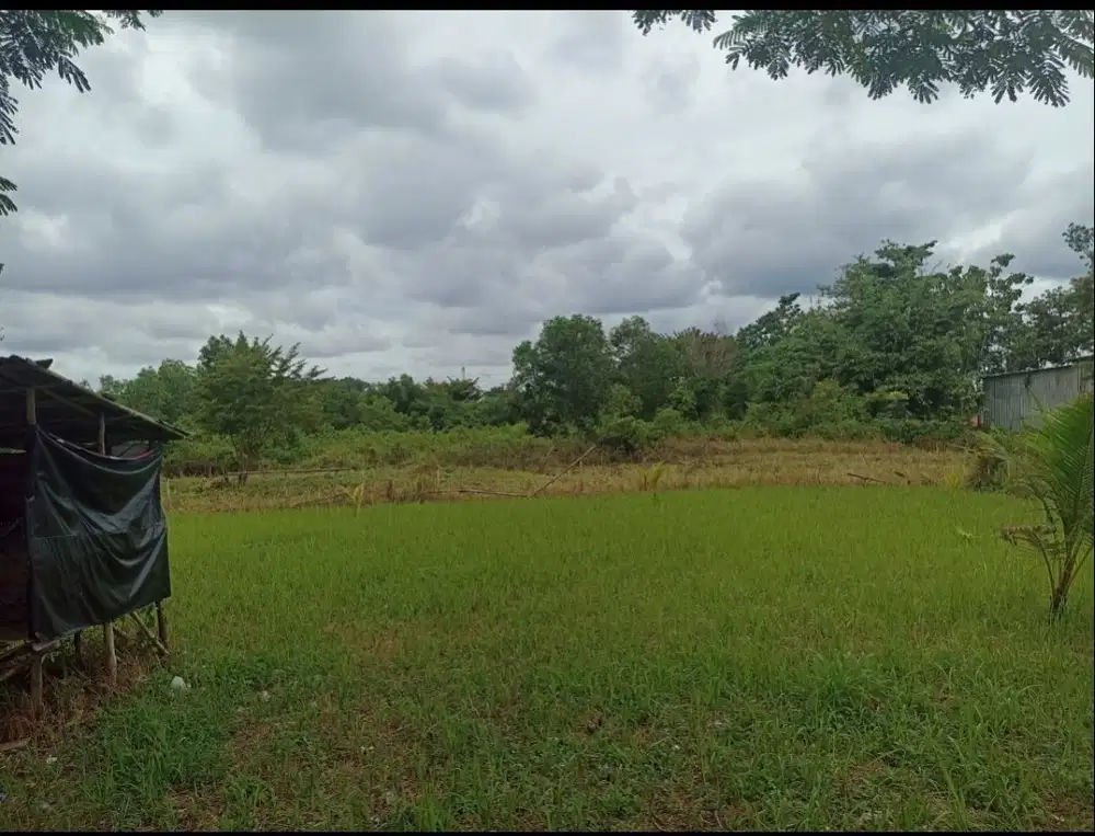 Dijual Tanah 600m2 Tanjung Barangan Palembang