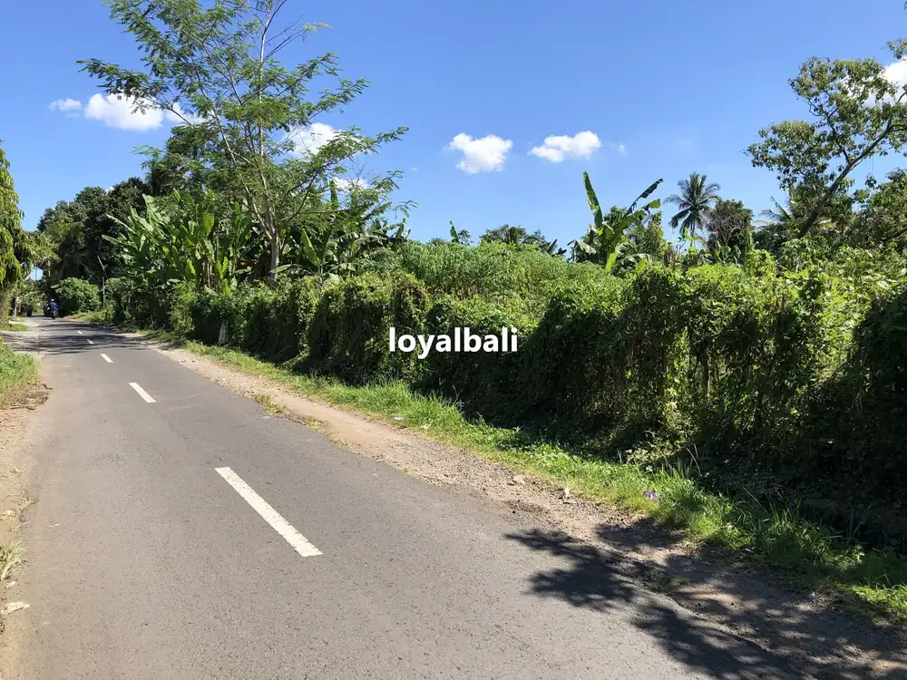 Tanah bagus dekat sungai di Subamia Tabanan, Bali
