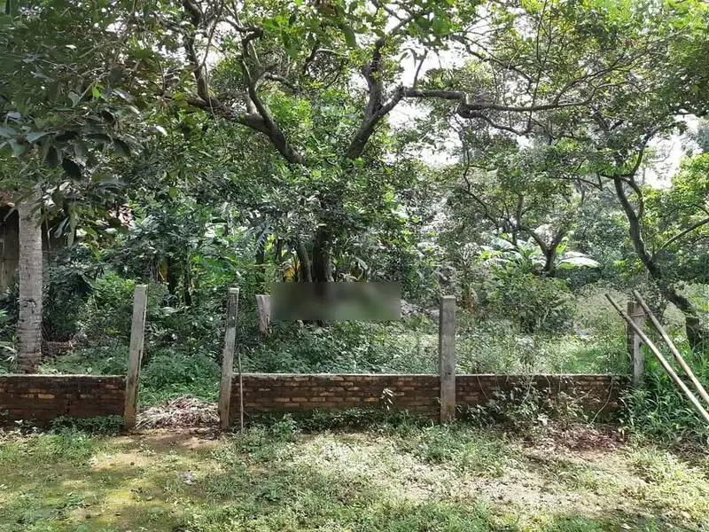 Tanah Dijual di Cipendawa Bantar Gebang Bekasi Jawa barat