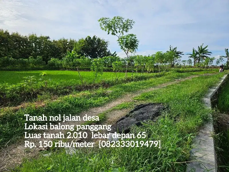 Jual B.U  tanah nol jalan desa lokasi balong panggang