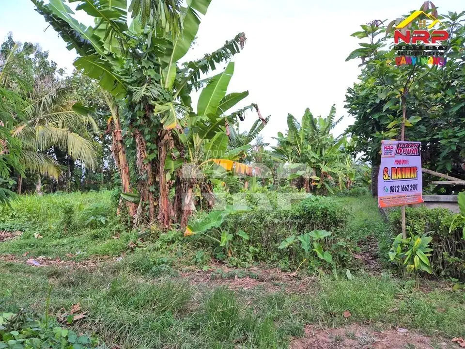 Dijual Tanah Kavling  Cocok Untuk Investasi Dekat Banyuwangi Park