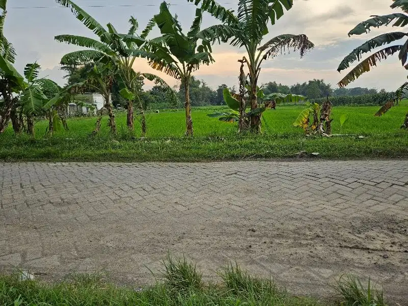Tanah nol jalan poros jalur kabupaten