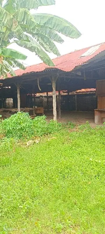 Jual cepat tanah Srengseng kembangan Jakarta