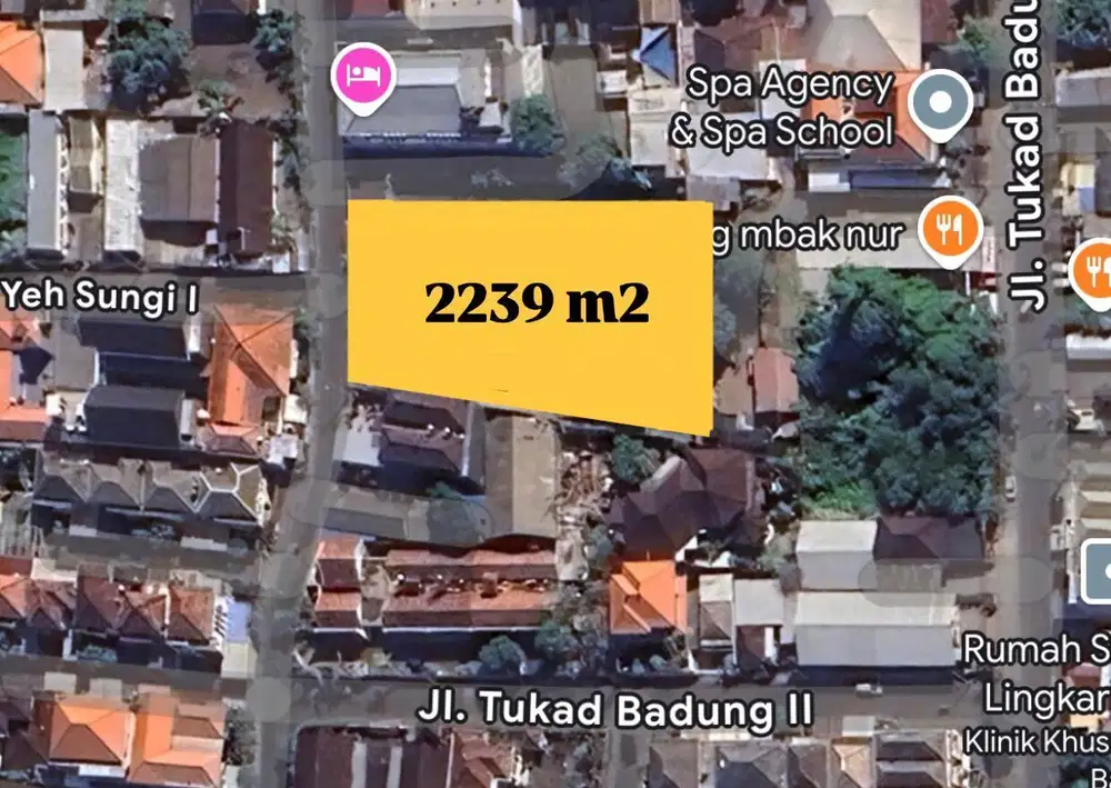 TANAH PREMIUM DI KAWASAN ELITE RENON DENPASAR BONUS RUMAH