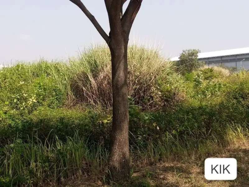 Dijual tanah di KIK kendal, Jawa-Tengah