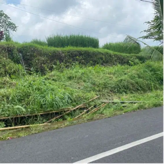 jual tanah jatiluwih penebel tabanan