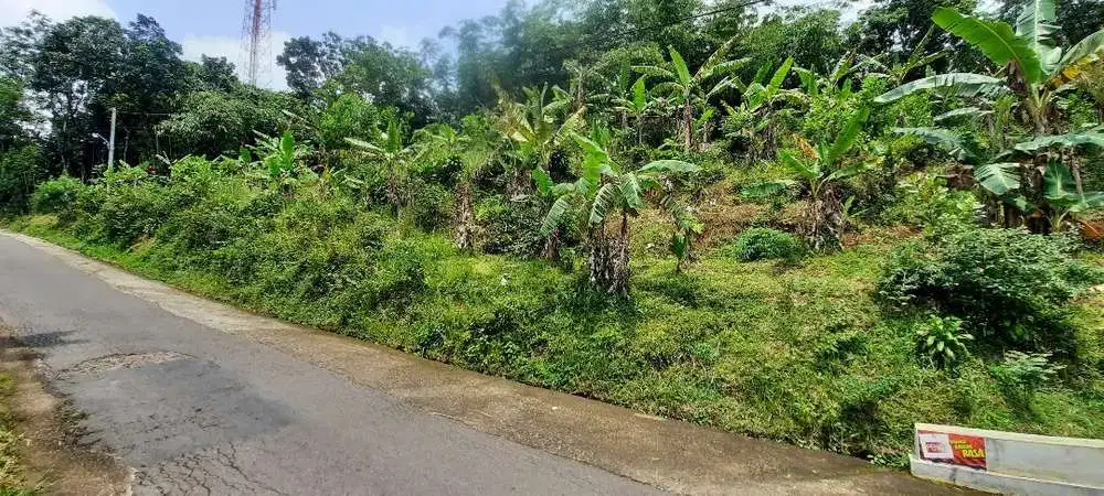Tanah murah pinggir jalan aspal di kerjo karangayar