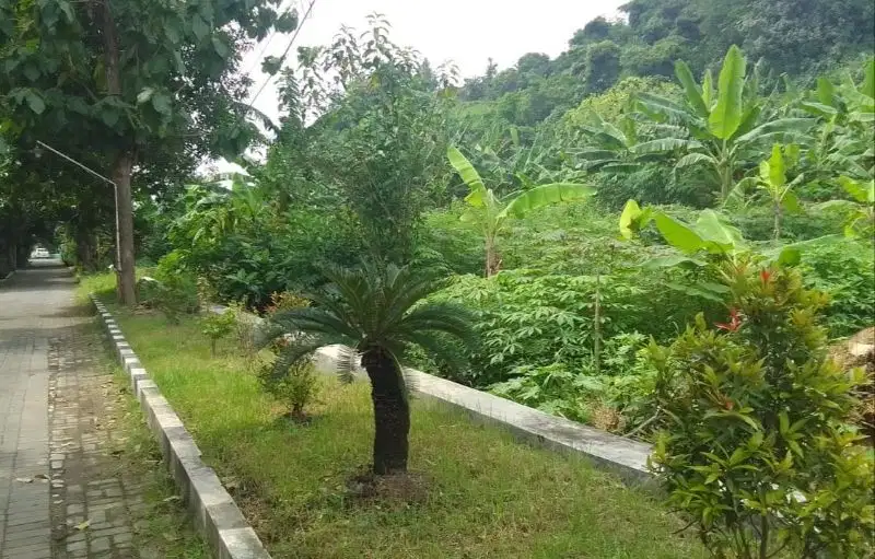 Dijual Tanah Perumahan Klipang Tembalang Semarang