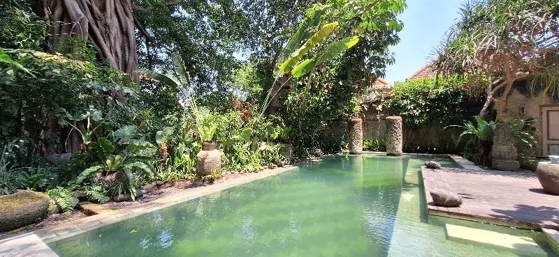 2 Bedrooms villa big tree river in kerobokan for sale